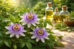découvrez les usages thérapeutiques de la passiflora ainsi que les précautions à prendre pour une utilisation sûre et efficace.